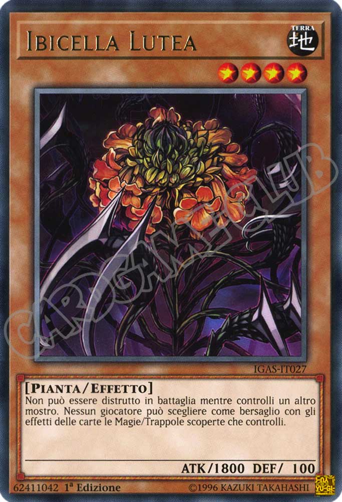 IGAS-IT027 Ibicella Lutea rara 1a Edizione (IT) -NEAR MINT-