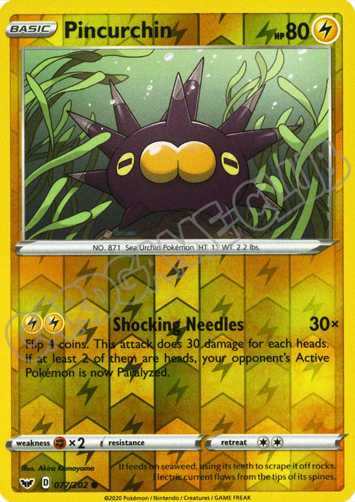 077 / 202 Pincurchin comune foil reverse (EN) -NEAR MINT-