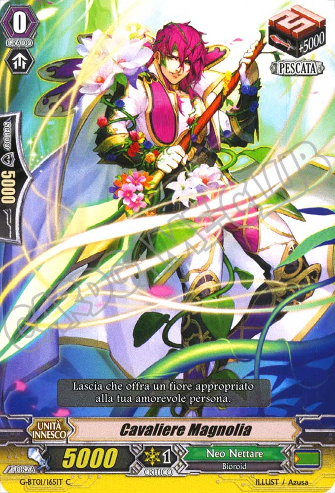 G-BT01-IT165 Cavaliere Magnolia comune normale (IT) -NEAR MINT-