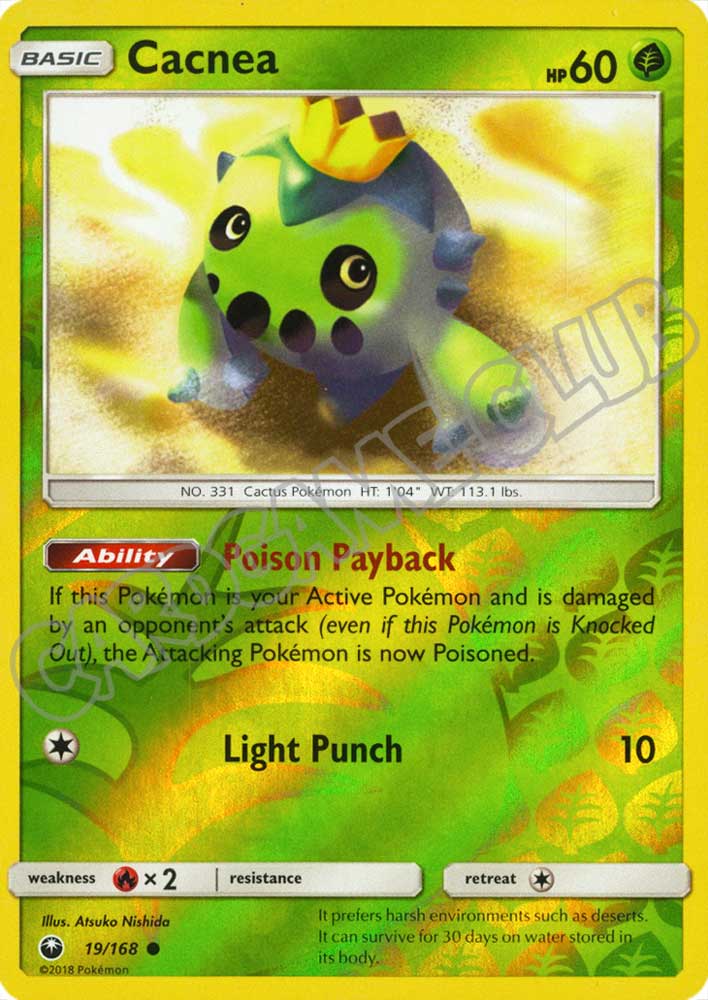 019 / 168 Cacnea comune foil reverse (EN) -NEAR MINT-