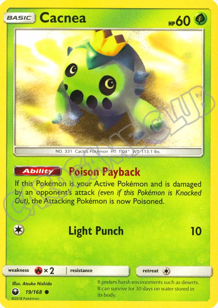 019 / 168 Cacnea comune normale (EN) -NEAR MINT-