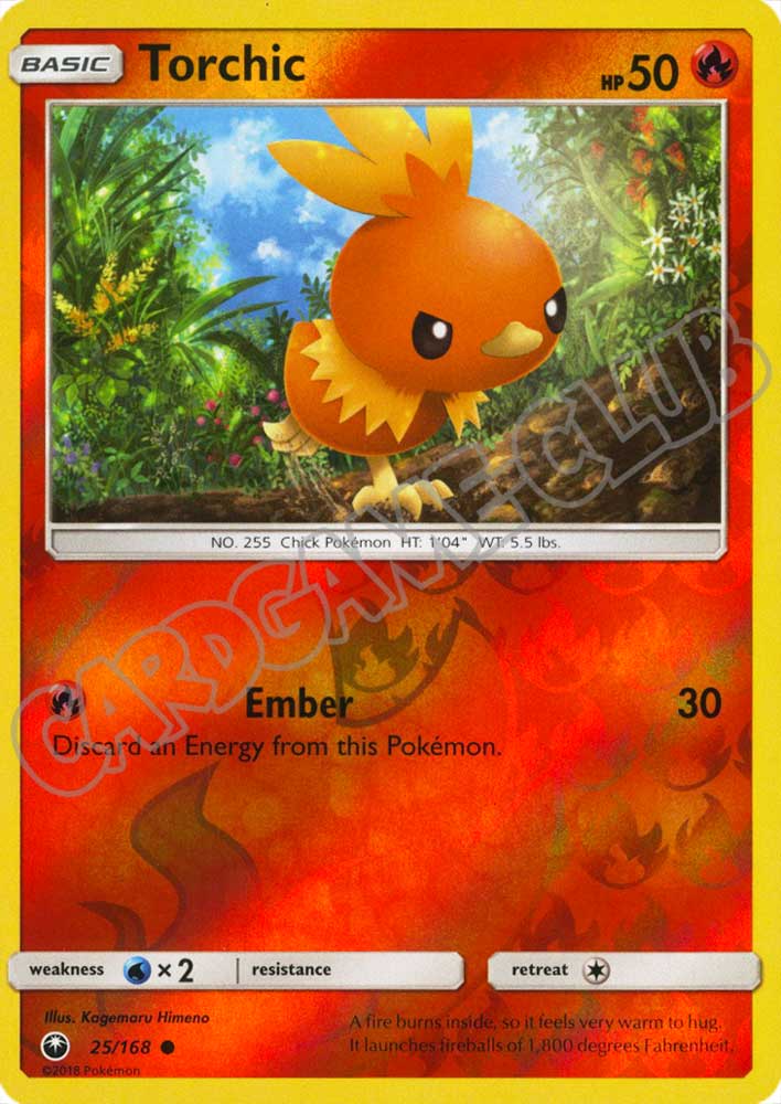 025 / 168 Torchic comune foil reverse (EN) -NEAR MINT-