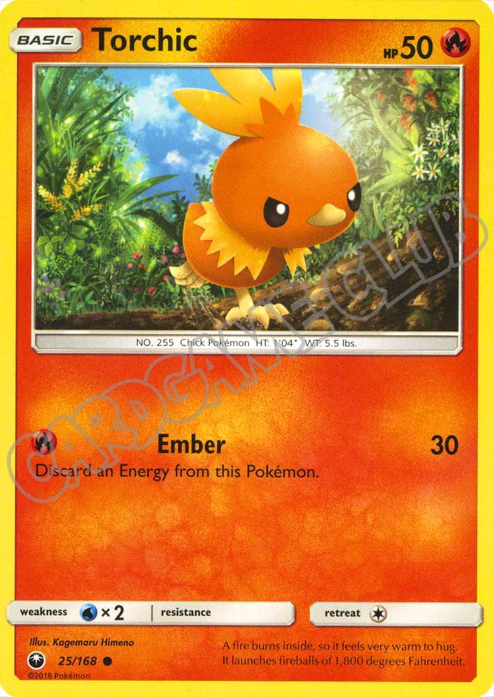 025 / 168 Torchic comune normale (EN) -NEAR MINT-