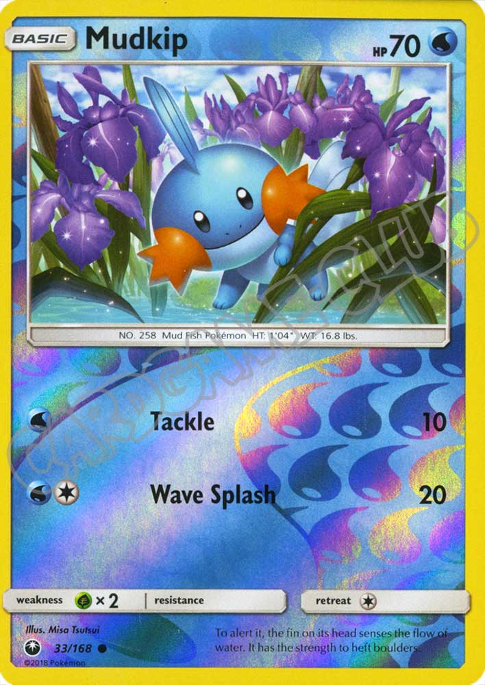 033 / 168 Mudkip comune foil reverse (EN) -NEAR MINT-