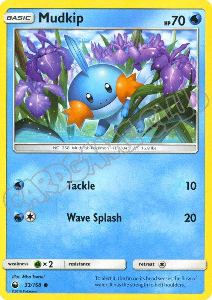 033 / 168 Mudkip comune normale (EN) -NEAR MINT-