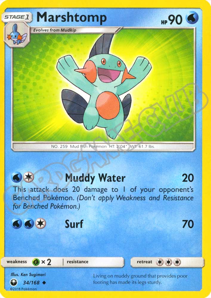 034 / 168 Marshtomp non comune normale (EN) -NEAR MINT-