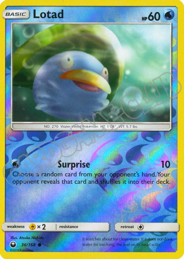 036 / 168 Lotad comune foil reverse (EN) -NEAR MINT-