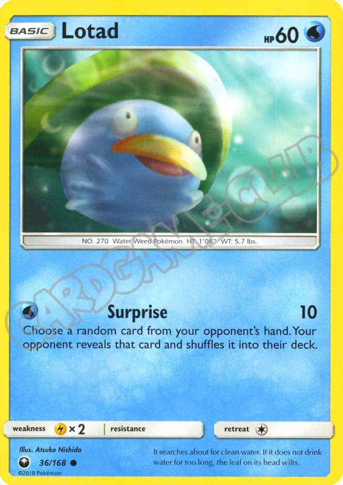 036 / 168 Lotad comune normale (EN) -NEAR MINT-