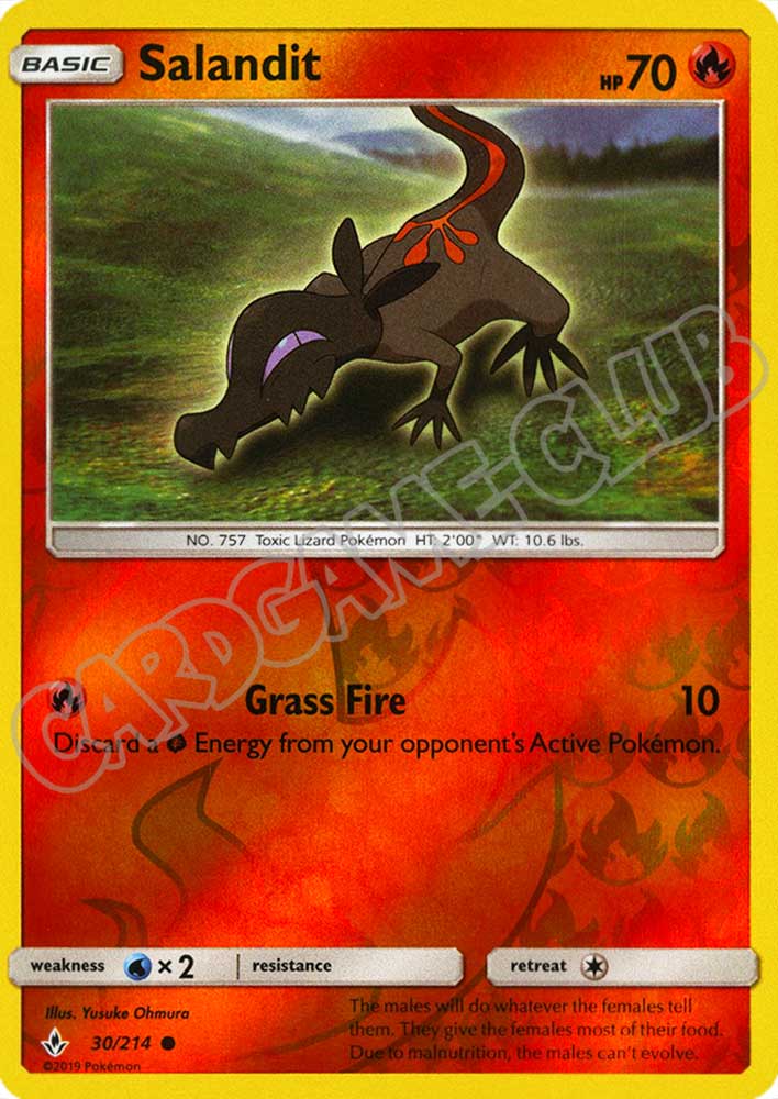 030 / 214 Salandit comune foil reverse (EN) -NEAR MINT-