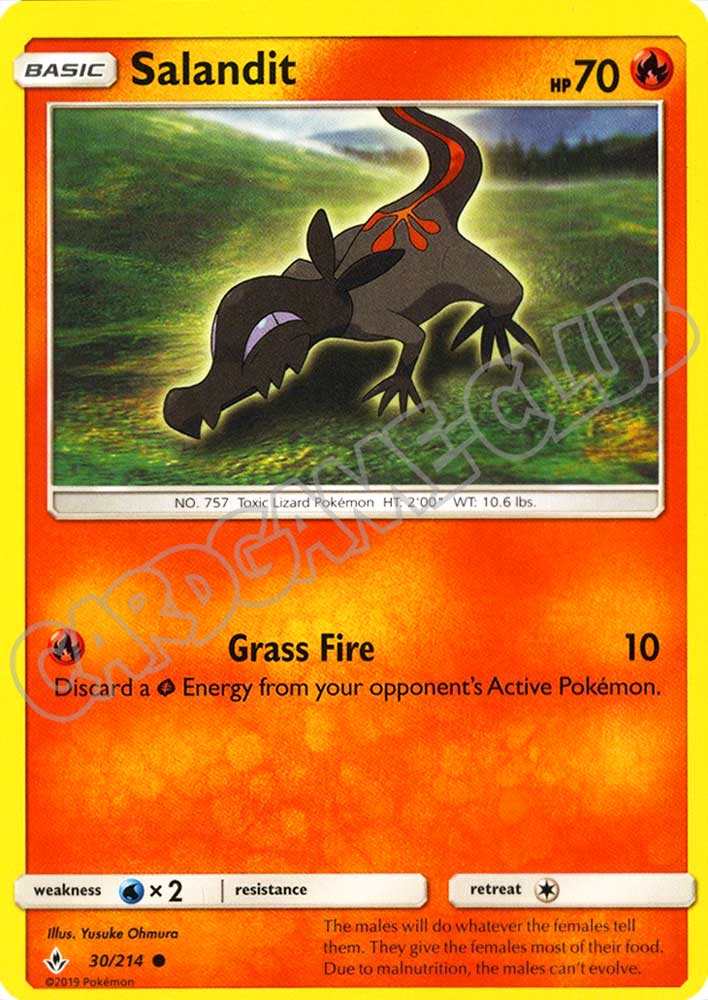 030 / 214 Salandit comune normale (EN) -NEAR MINT-