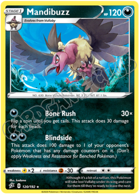 120 / 192 Mandibuzz rara normale (EN)