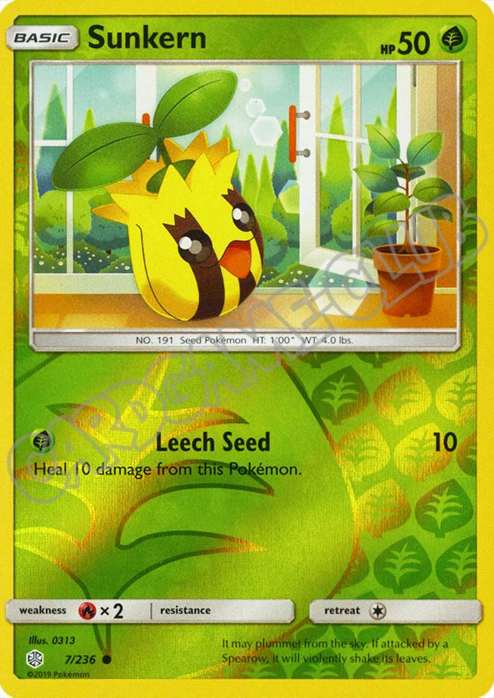 007 / 236 Sunkern comune foil reverse (EN) -NEAR MINT-