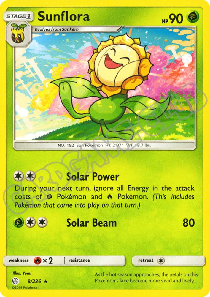 008 / 236 Sunflora rara normale (EN) -NEAR MINT-