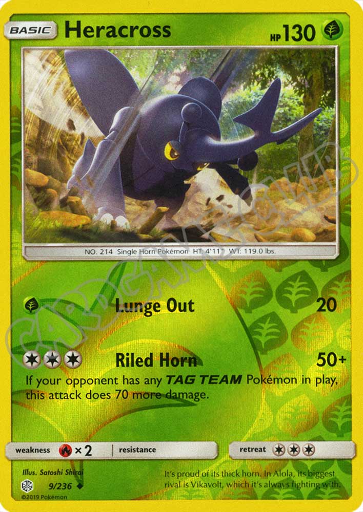009 / 236 Heracross non comune foil reverse (EN) -NEAR MINT-