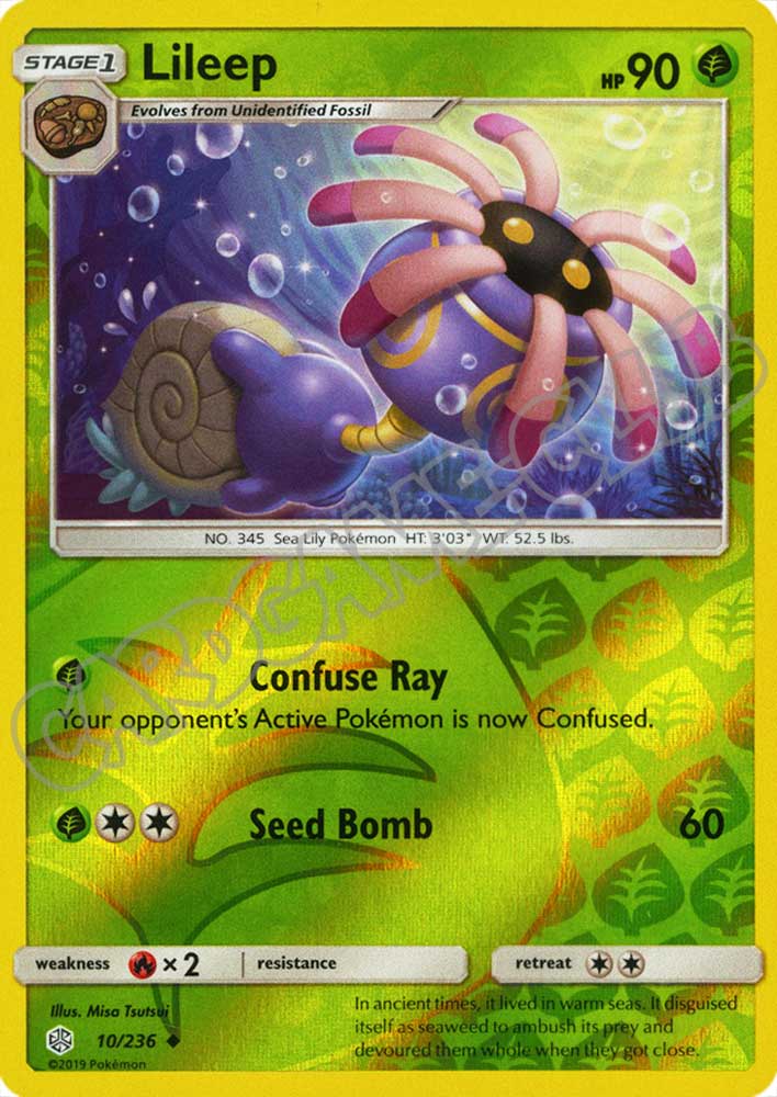 010 / 236 Lileep non comune foil reverse (EN) -NEAR MINT-