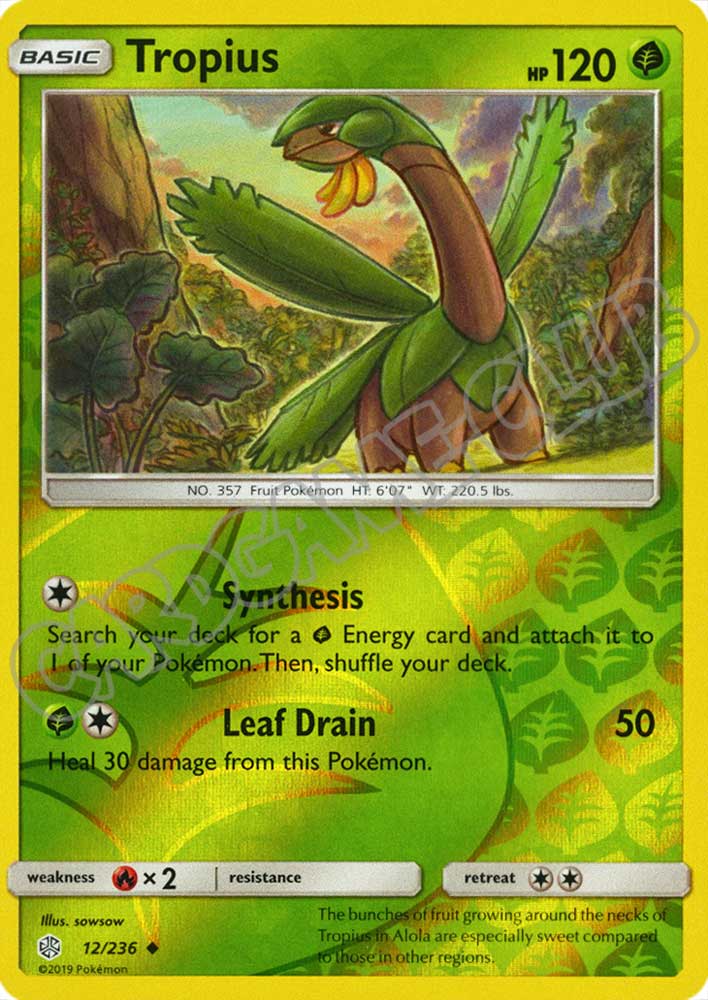 012 / 236 Tropius non comune foil reverse (EN) -NEAR MINT-