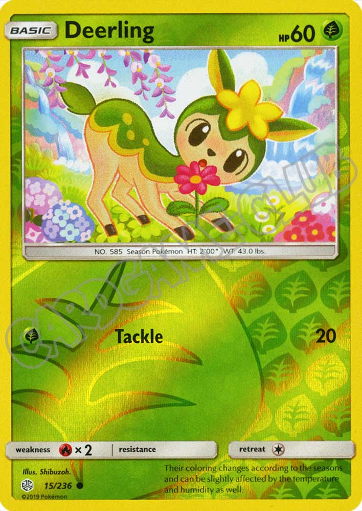 015 / 236 Deerling comune foil reverse (EN) -NEAR MINT-