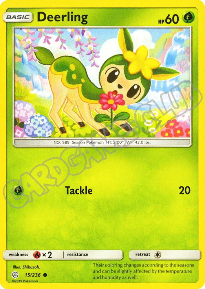 015 / 236 Deerling comune normale (EN) -NEAR MINT-