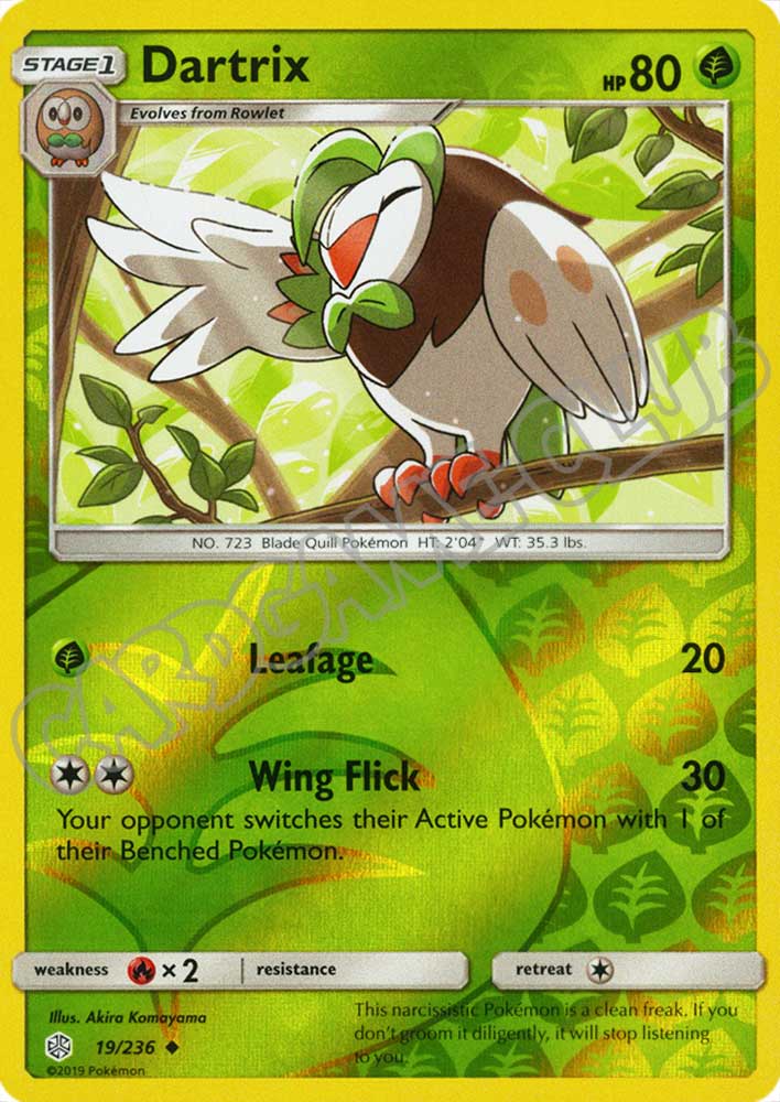 019 / 236 Dartrix non comune foil reverse (EN) -NEAR MINT-