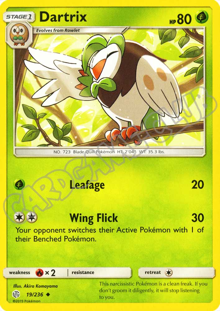 019 / 236 Dartrix non comune normale (EN) -NEAR MINT-