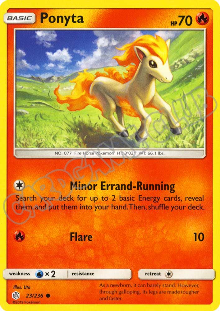 023 / 236 Ponyta comune normale (EN) -NEAR MINT-