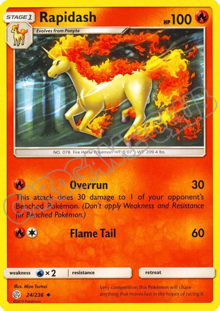 024 / 236 Rapidash non comune normale (EN) -NEAR MINT-