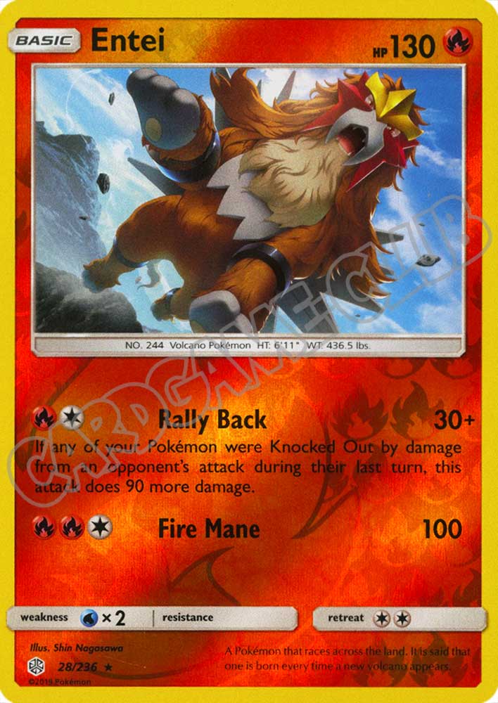 028 / 236 Entei rara foil reverse (EN) -NEAR MINT-