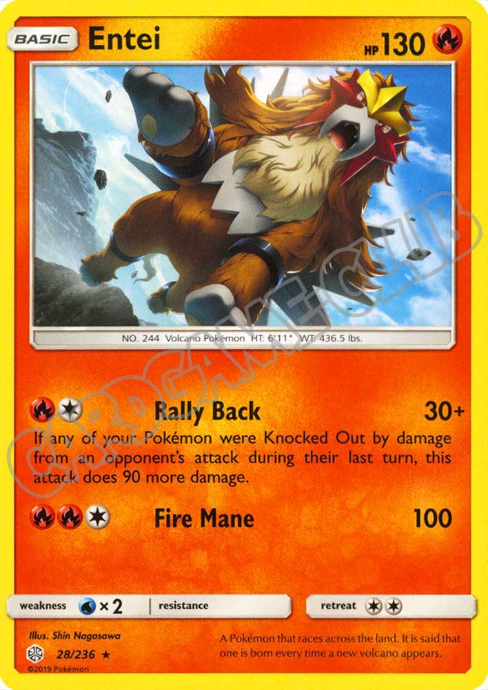 028 / 236 Entei rara normale (EN) -NEAR MINT-