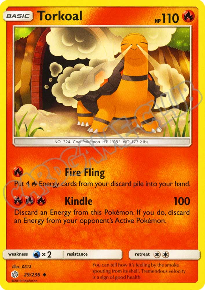 029 / 236 Torkoal non comune normale (EN) -NEAR MINT-