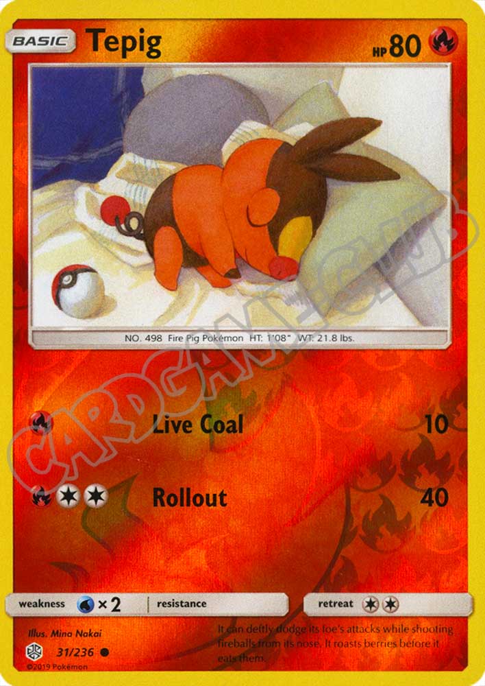 031 / 236 Tepig comune foil reverse (EN) -NEAR MINT-
