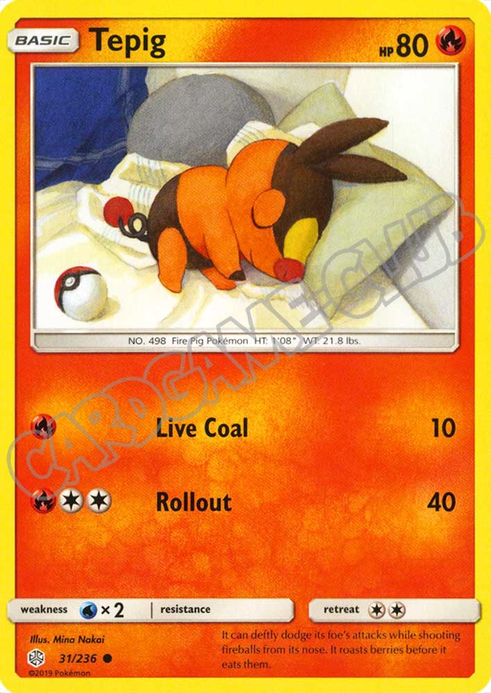 031 / 236 Tepig comune normale (EN) -NEAR MINT-