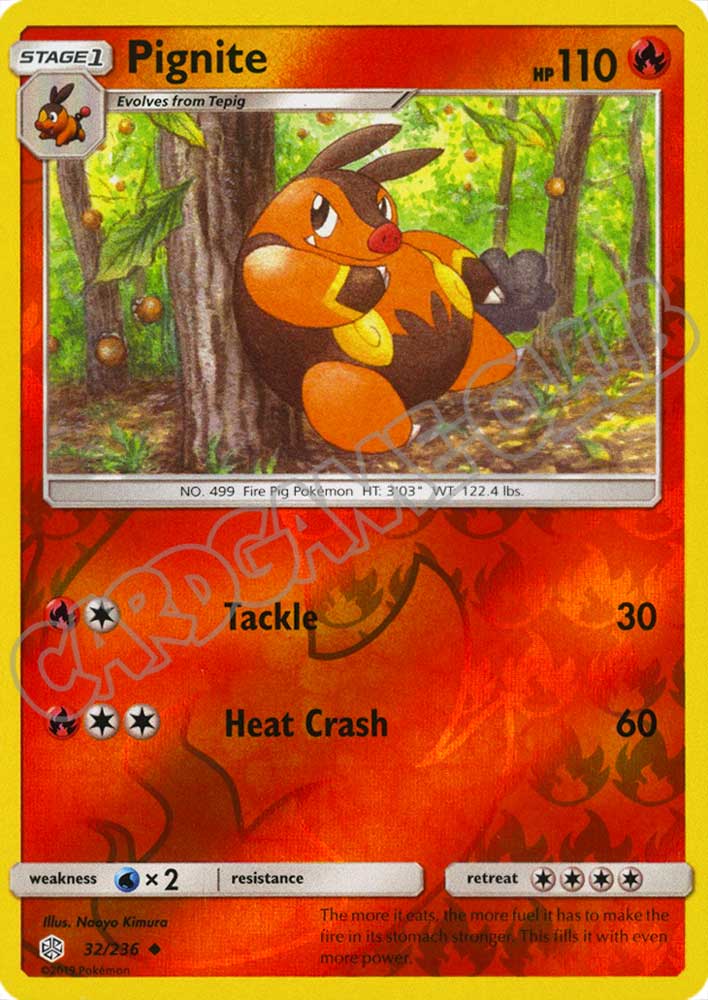 032 / 236 Pignite non comune foil reverse (EN) -NEAR MINT-