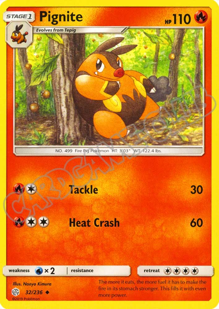 032 / 236 Pignite non comune normale (EN) -NEAR MINT-