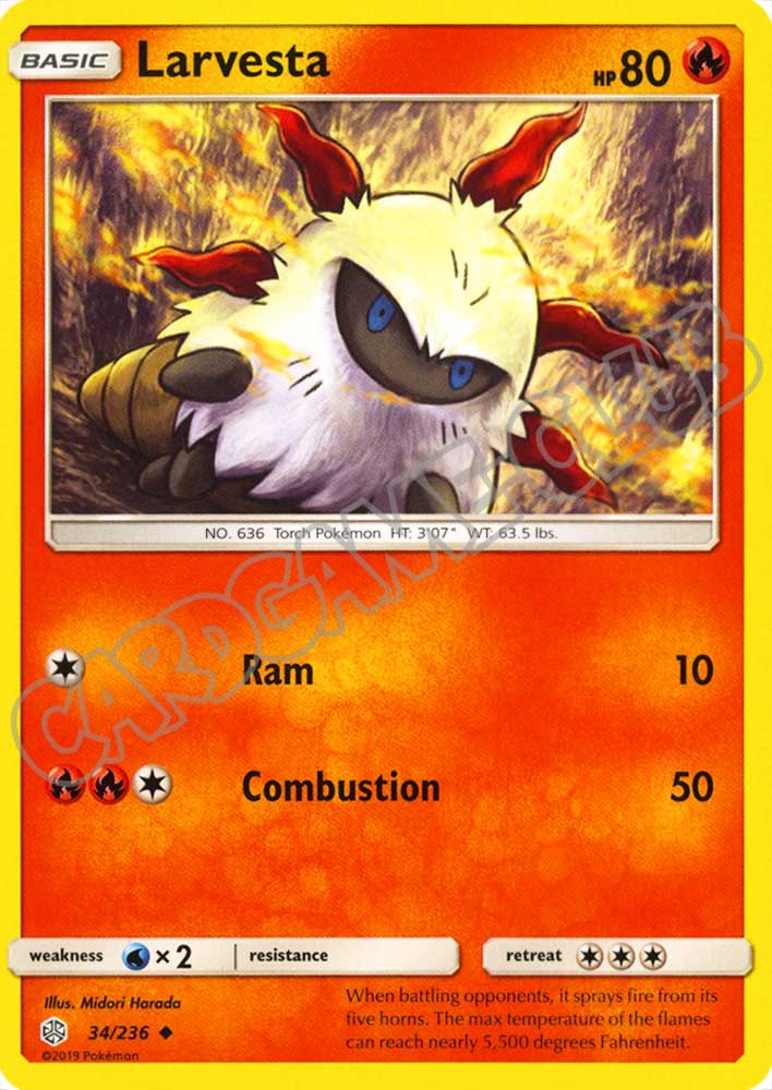 034 / 236 Larvesta non comune normale (EN) -NEAR MINT-