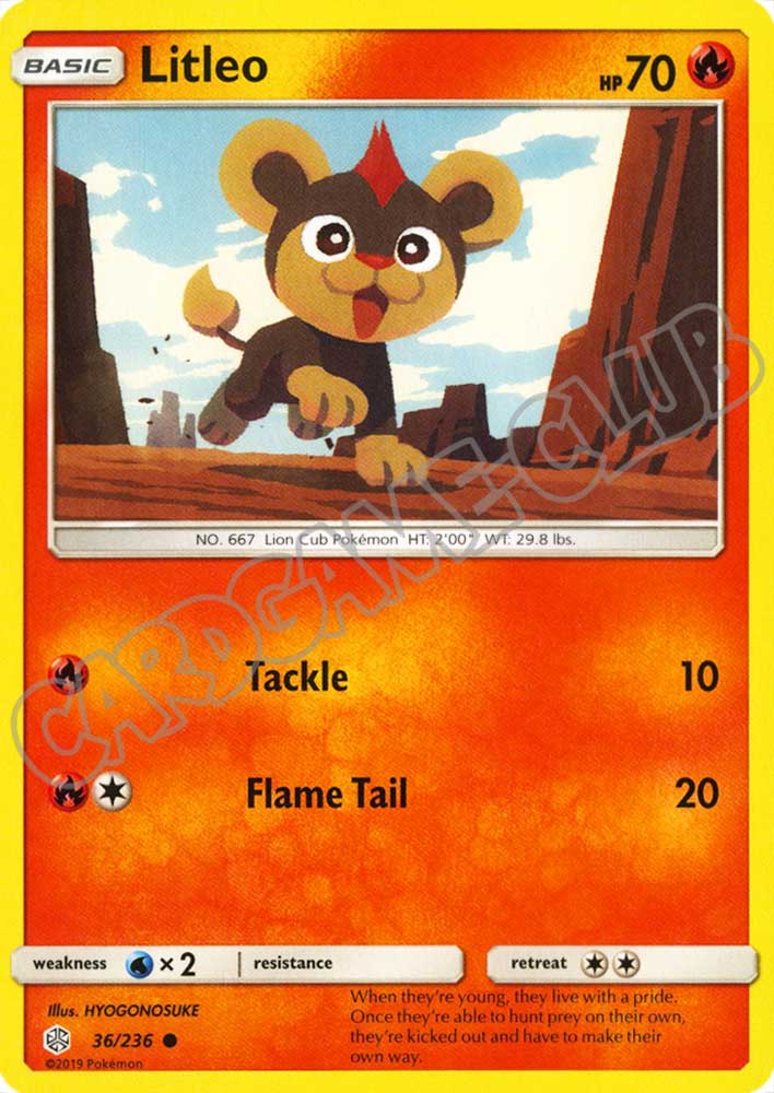 036 / 236 Litleo comune normale (EN) -NEAR MINT-