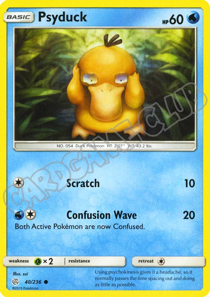 040 / 236 Psyduck comune normale (EN) -NEAR MINT-
