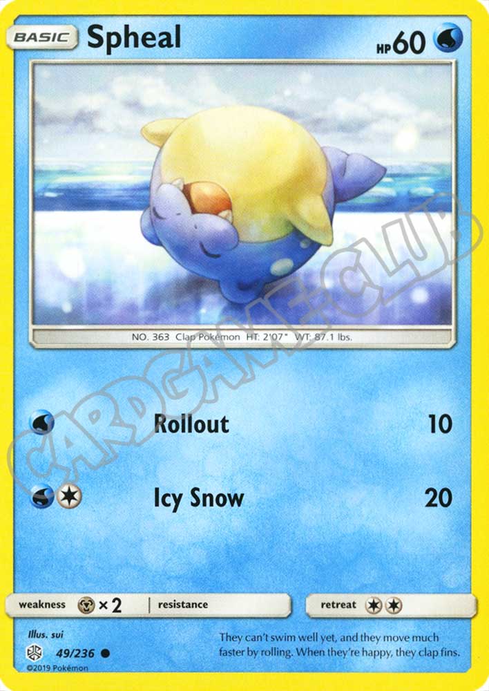 049 / 236 Spheal comune normale (EN) -NEAR MINT-