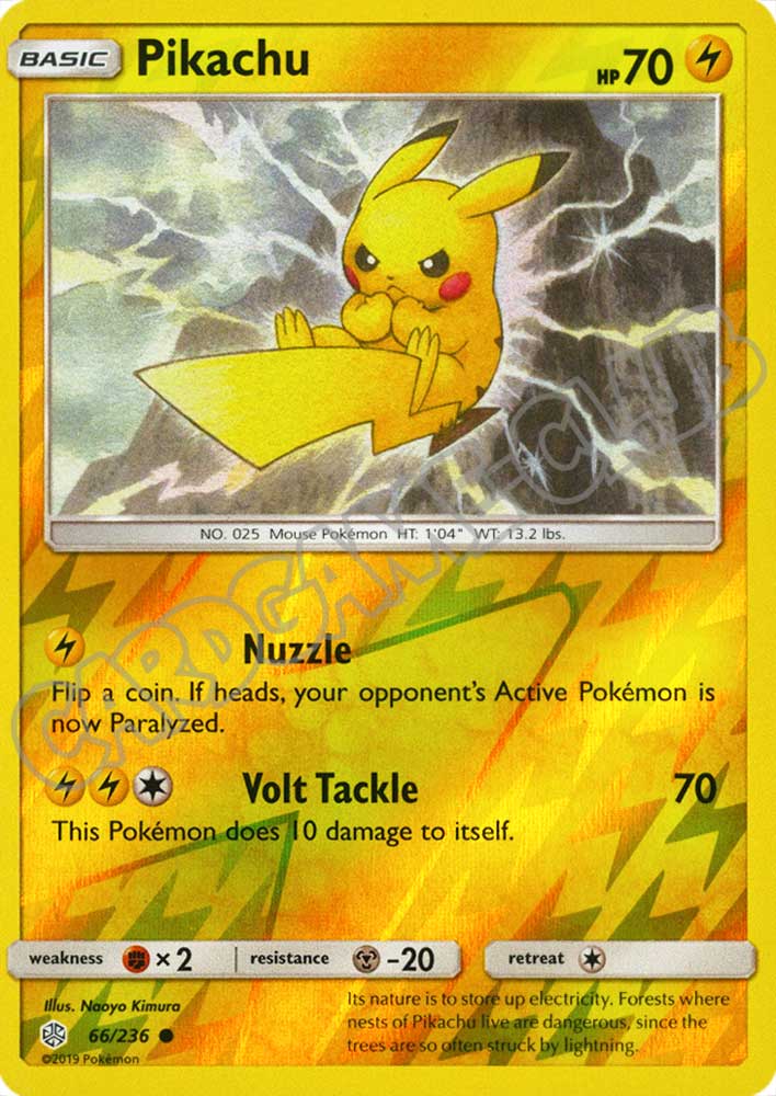 066 / 236 Pikachu comune foil reverse (EN) -NEAR MINT-