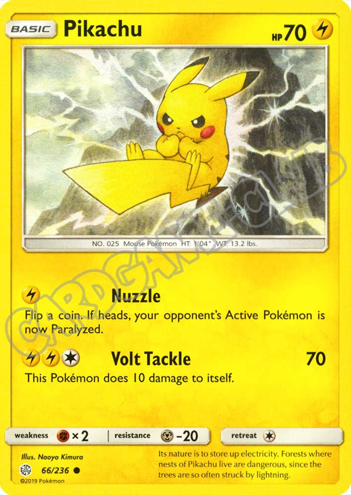 066 / 236 Pikachu comune normale (EN) -NEAR MINT-