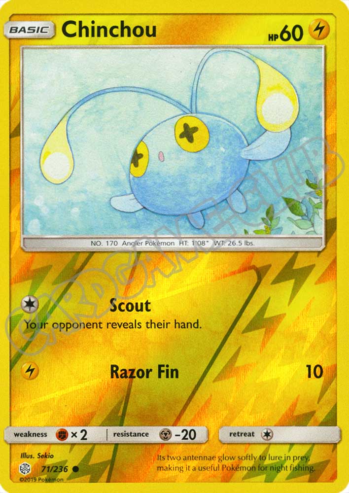 071 / 236 Chinchou comune foil reverse (EN) -NEAR MINT-