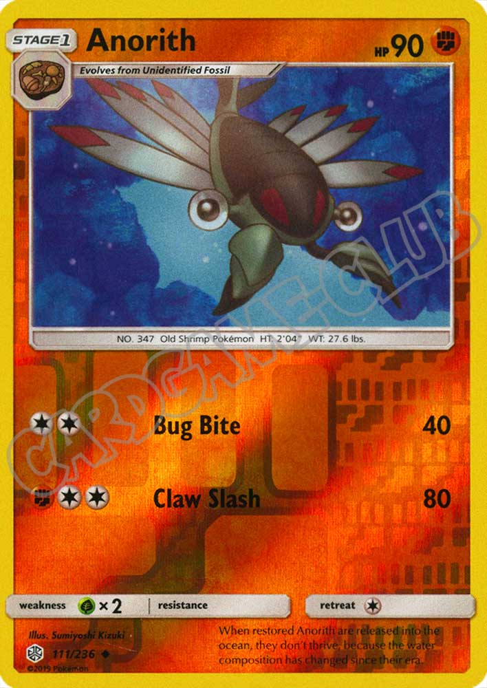 111 / 236 Anorith non comune foil reverse (EN) -NEAR MINT-