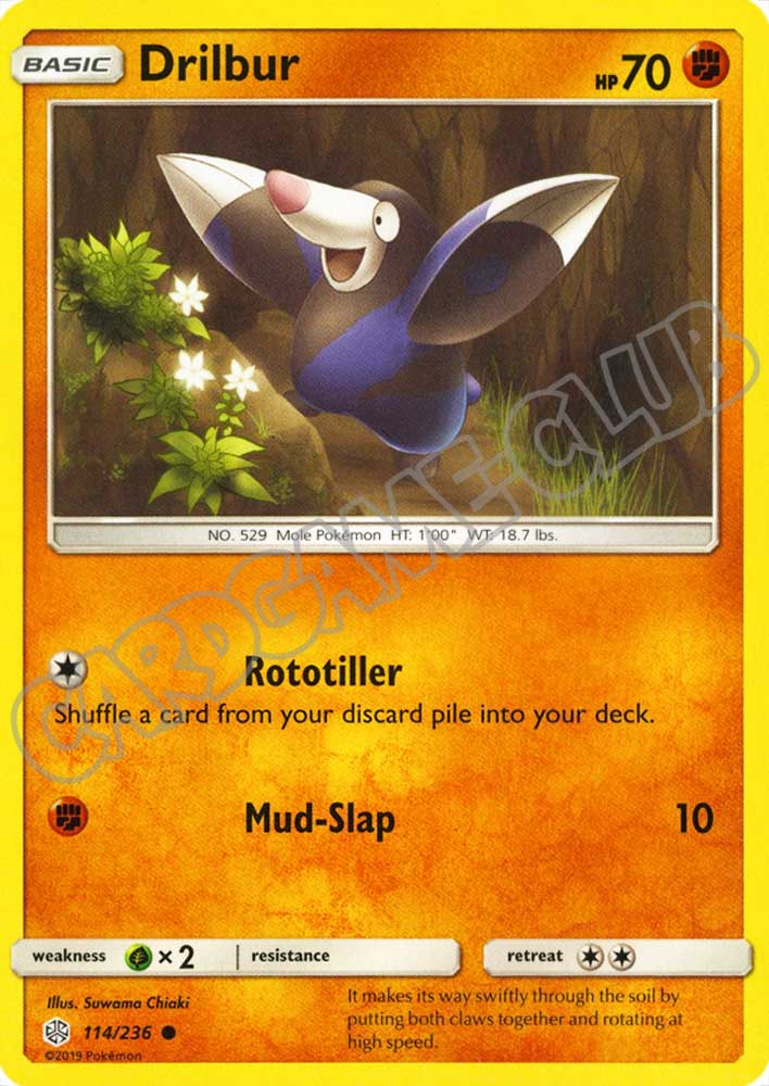 114 / 236 Drilbur comune normale (EN) -NEAR MINT-