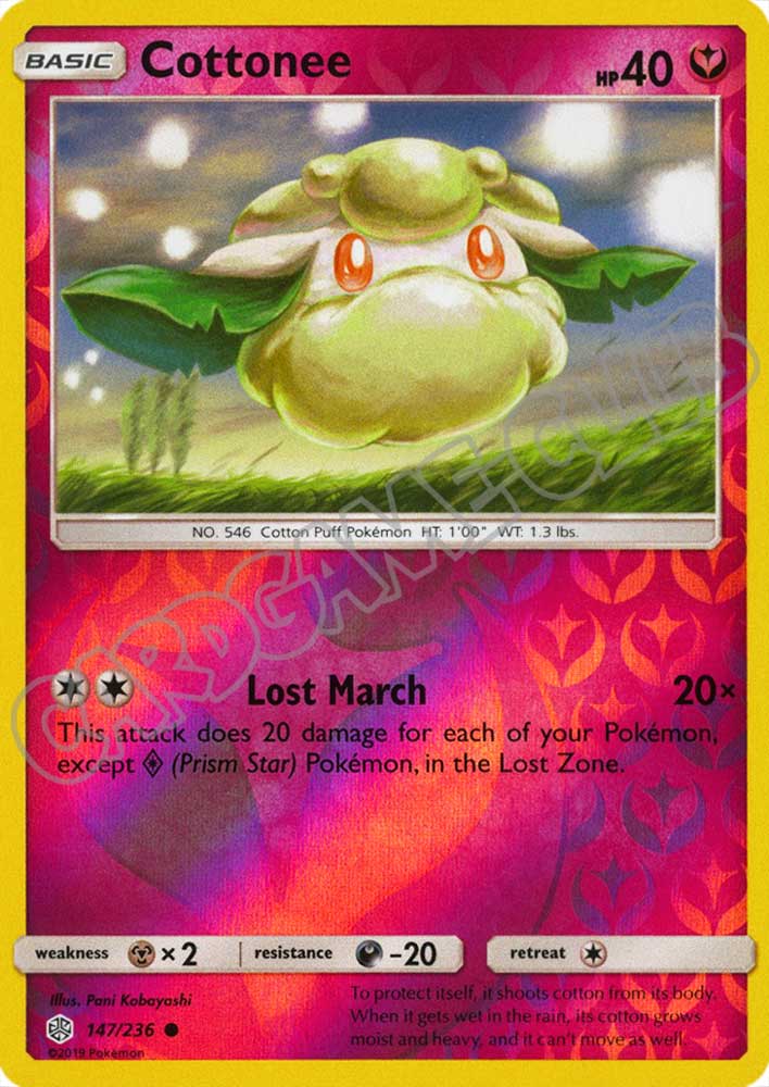 147 / 236 Cottonee comune foil reverse (EN) -NEAR MINT-