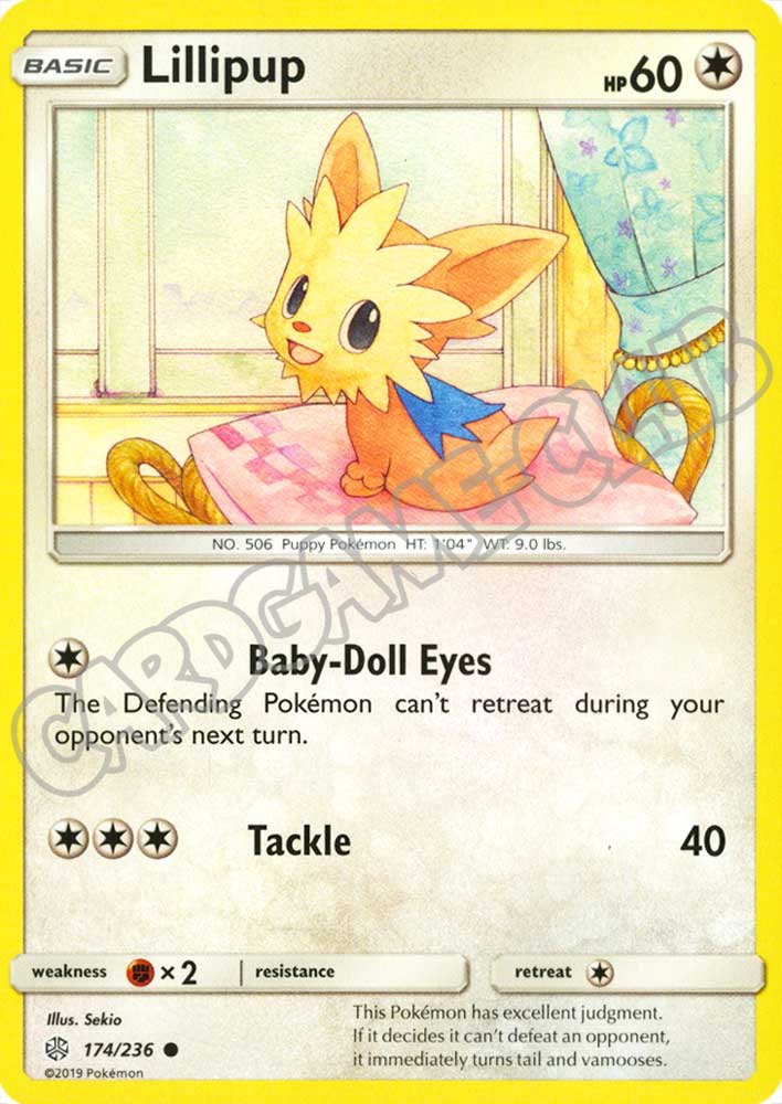 174 / 236 Lillipup comune normale (EN) -NEAR MINT-