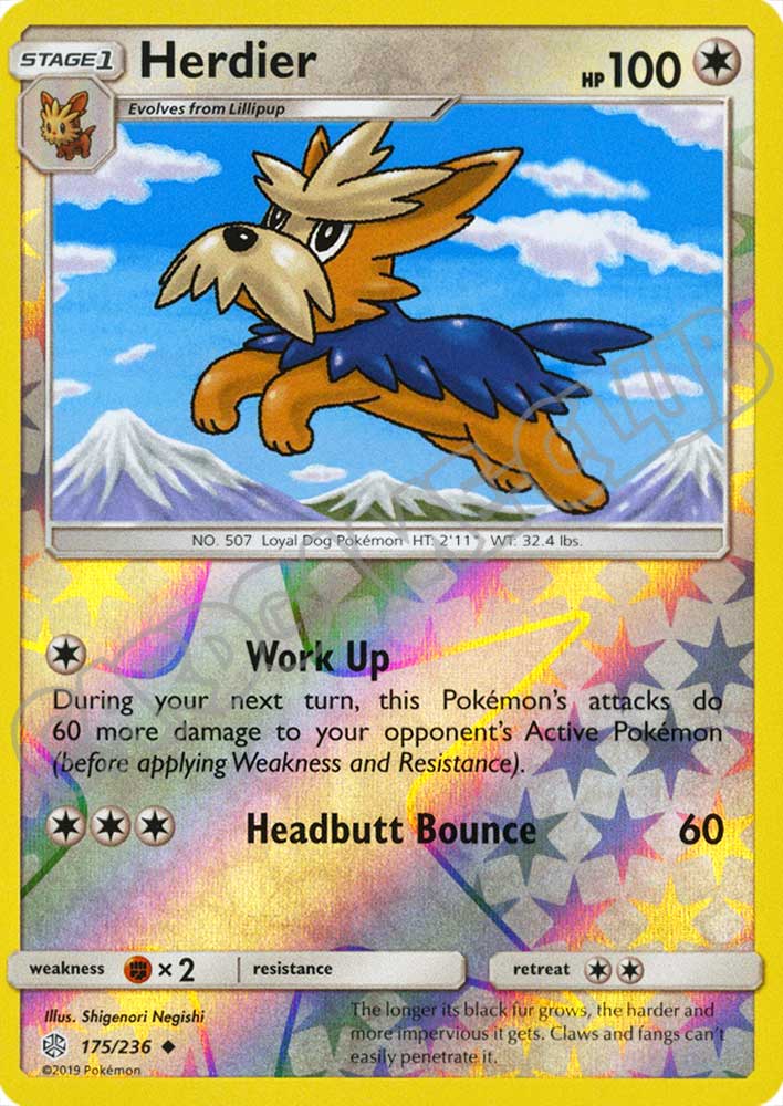 175 / 236 Herdier non comune foil reverse (EN) -NEAR MINT-