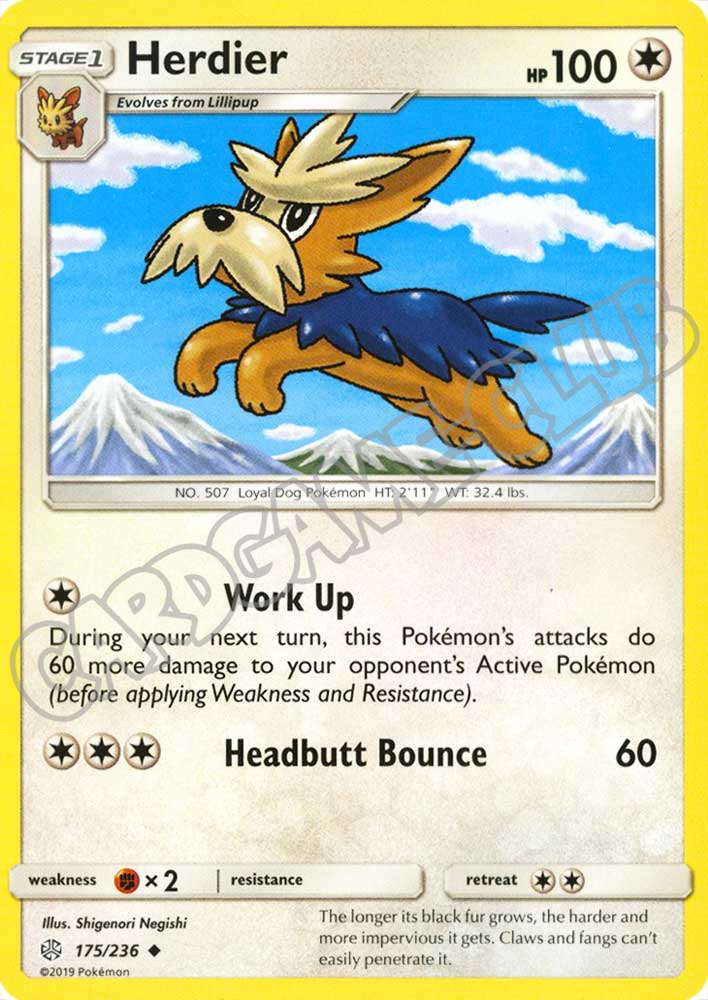 175 / 236 Herdier non comune normale (EN) -NEAR MINT-