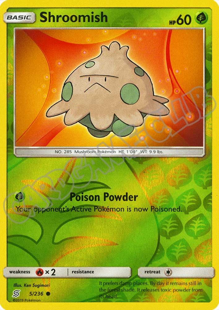 005 / 236 Shroomish comune foil reverse (EN) -NEAR MINT-