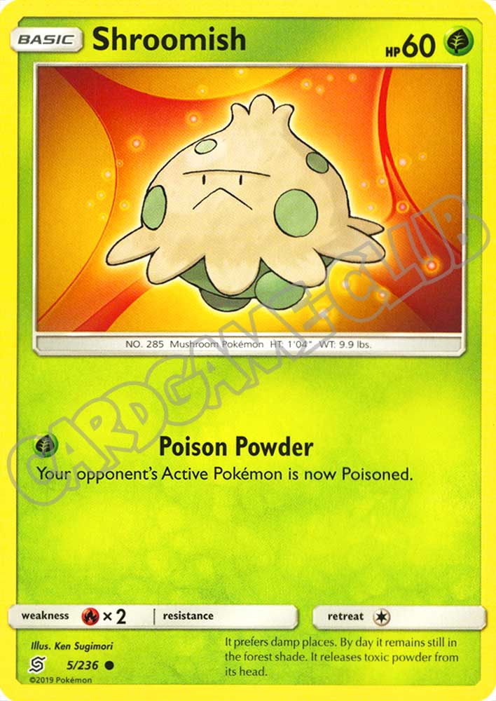 005 / 236 Shroomish comune normale (EN) -NEAR MINT-