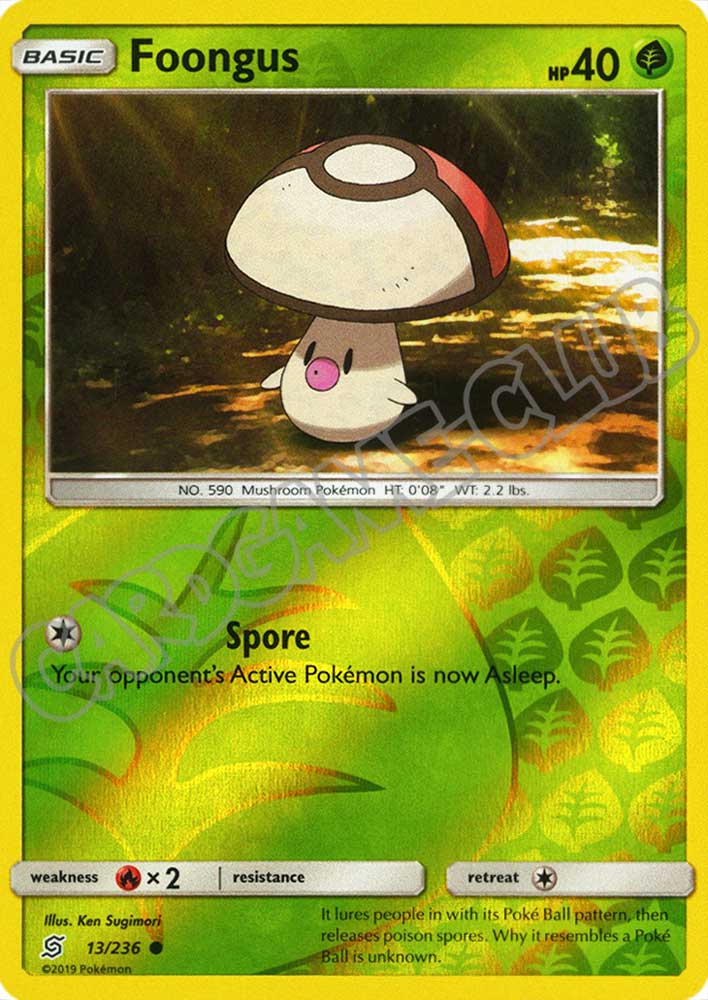 013 / 236 Foongus comune foil reverse (EN) -NEAR MINT-