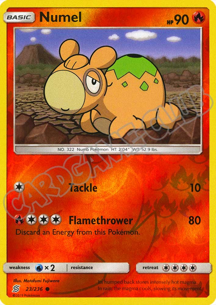 023 / 236 Numel comune foil reverse (EN) -NEAR MINT-